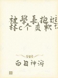 被学长抱进小树林c个爽软件