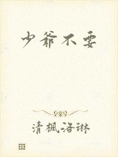 少爷不要封面