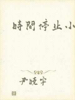 时间停止小说