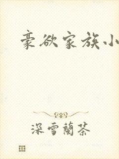 豪欲家族小说