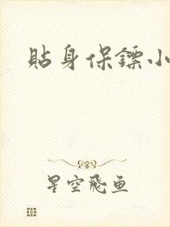 贴身保镖小说