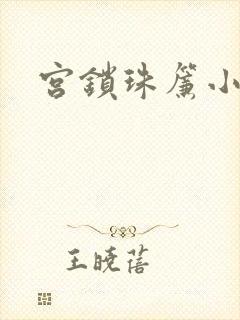 宫锁珠帘小说