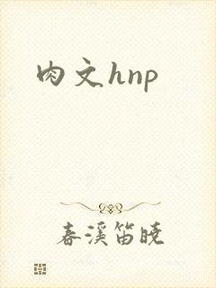 肉文hnp