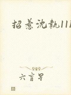 招惹沈执11h