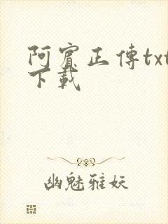 阿宾正传txt下载