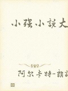 小强小说大全