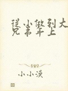 从小做到大骨科兄弟年上封面