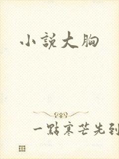 小说大胸