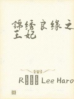 锦绣良缘之北地王妃封面