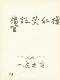 杨钰莹红楼醉高官封面