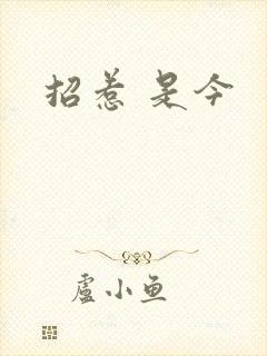 招惹 是今