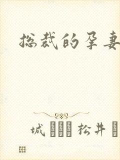 总裁的孕妻