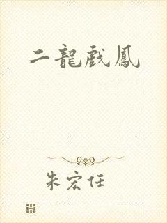 二龙戏凤