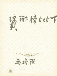 琅琊榜txt下载封面