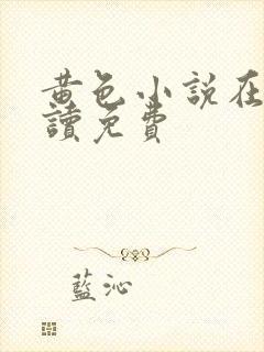 黄色小说在线阅读免费