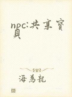 npc:共享宝贝
