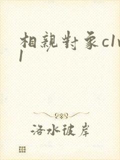 相亲对象c1v1