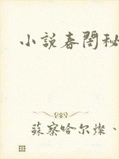 小说春闺秘史