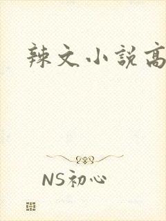 辣文小说高h