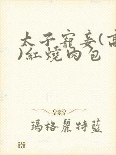 太子宠妾(高肉)红烧肉包封面