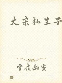 大宋私生子封面