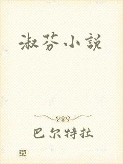 淑芬小说
