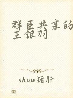群臣共享的小公主银羽
