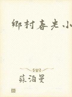 乡村春光小说