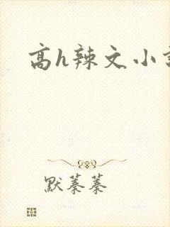高h辣文小说