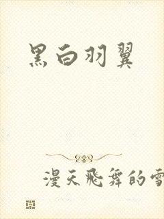 黑白羽翼