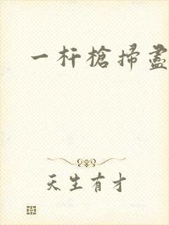 一杆枪扫尽全家封面