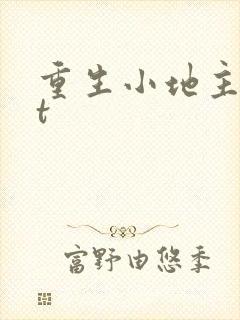 重生小地主txt
