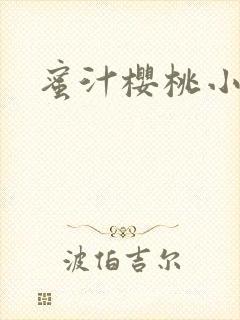 蜜汁樱桃小说封面