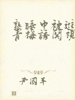 熟睡中被进了H青梅诱哄视频