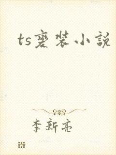 ts变装小说封面