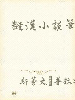 糙汉小说笔趣阁