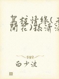 驾校情缘(老树开花)孙潇潇笔趣阁