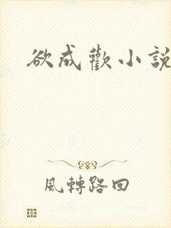 欲成欢小说
