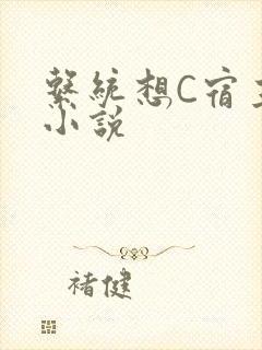 系统想C宿主的小说