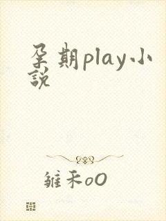 孕期play小说封面