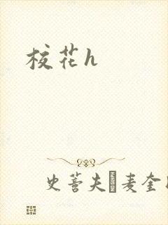 校花h封面