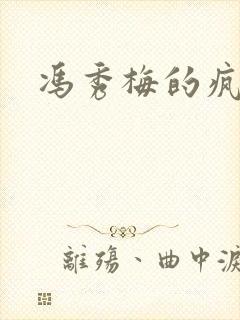 冯秀梅的疯狂封面