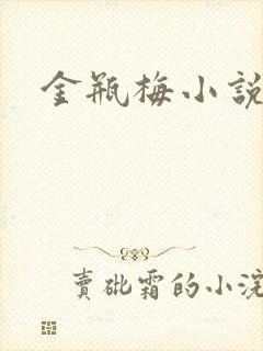 金瓶梅小说下载封面