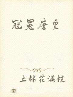冠冕唐皇封面