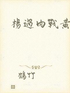 杨过肉战黄蓉