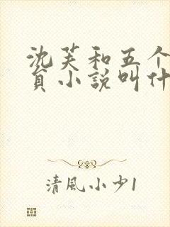 沈芙和五个消防员小说叫什么