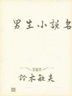 男生小说名字封面