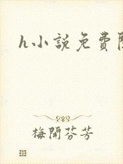 h小说免费阅读