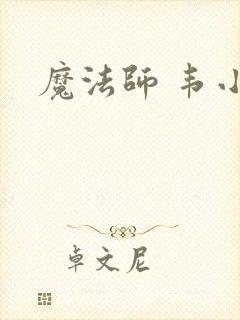 魔法师 韦小宝