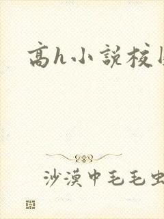高h小说校园